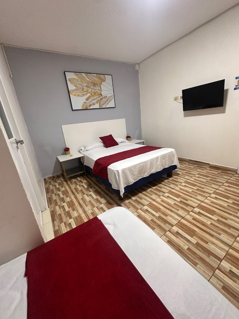 Habitación acogedora con piso imitación madera y camino rojo